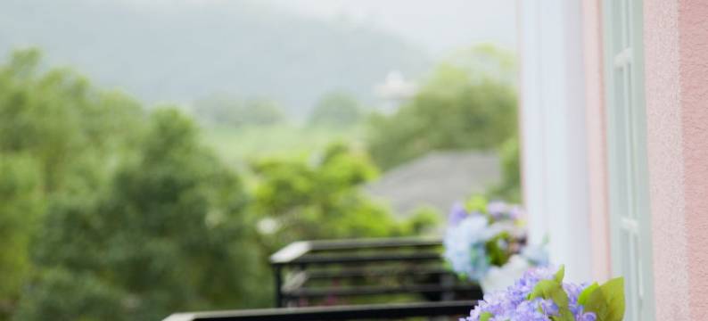 宜兰贝儿花园民宿图片