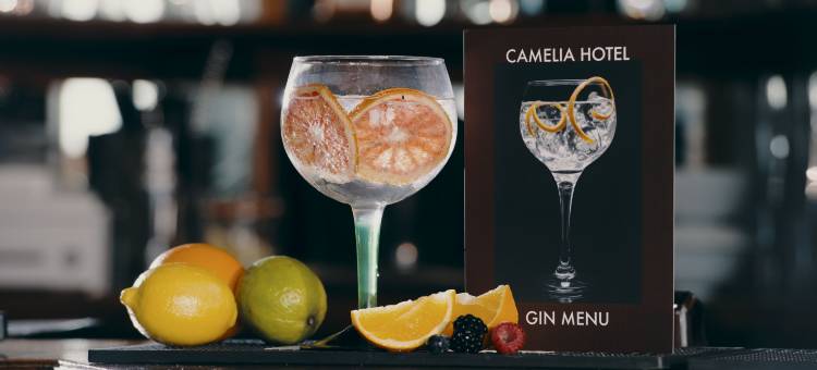 卡梅利娅酒店(Camelia Hotel)图片