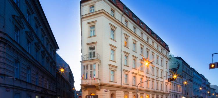 埃克城市公园酒店(Exe City Park Hotel)图片