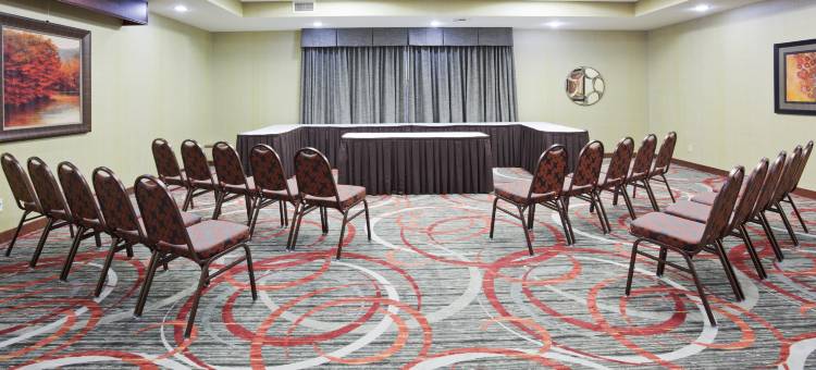 布卢明顿西智选假日套房酒店(Holiday Inn Express & Suites Bloomington - Mpls Arpt Area W)图片