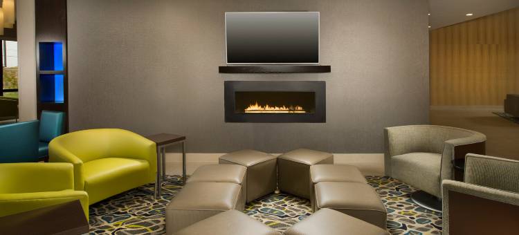 南普拉特维尔智选假日套房酒店(Holiday Inn Express & Suites Waco South)图片