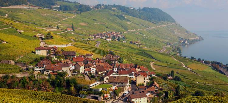 三花环水疗酒店(Hôtel des Trois Couronnes & Spa - the Leading Hotels of the World)图片