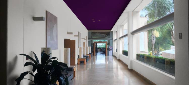 加玛费斯塔阿美利卡萨拉帕旅馆(Gamma by Fiesta Americ Xalapa Nubara)图片