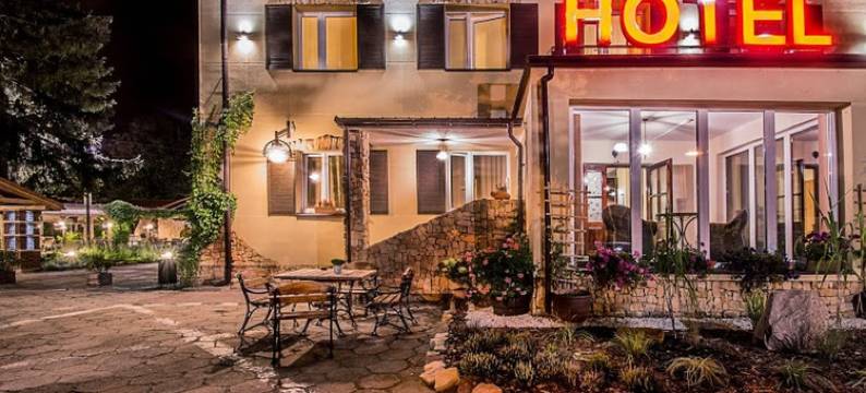 兹罗提林酒店(Złoty Lin)图片