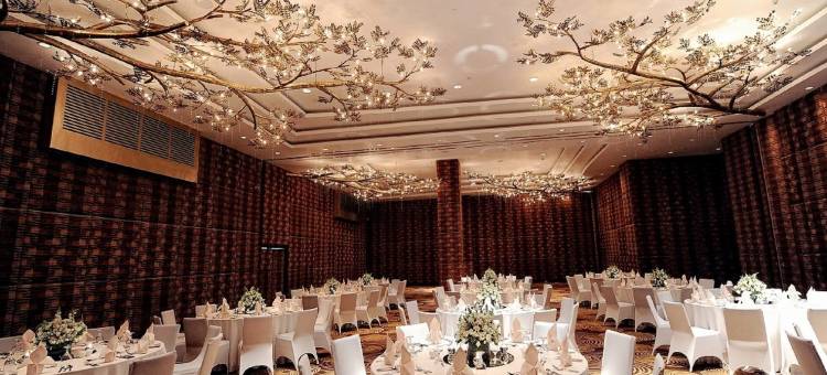 马尼拉阿卡希亚酒店(Acacia Hotel Manila)图片