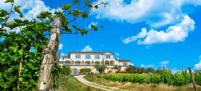 查图纳酒庄住宅酒店(Wine Residence Cattunar)图片