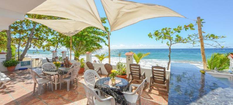 椰子棕榈树旅馆(Coconut Palms Inn)图片