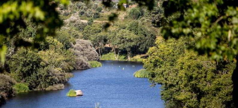 卡萨斯天井自然乡村民宿(Casas do Patio Country Houses & Nature)图片