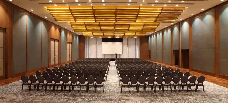 艾哈迈达巴德凯悦酒店(Hyatt Regency Ahmedabad)图片