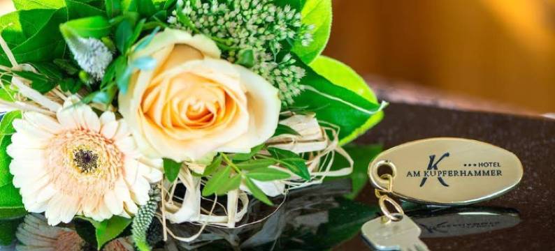 Kupferhammer酒店(Hotel am Kupferhammer)图片