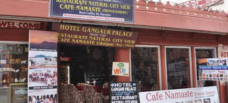 甘加尔A殿传统酒店(Hotel Gangaur Palace)图片