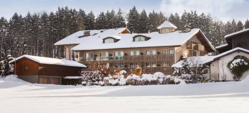 朗维斯享乐旅馆(Langwies Genussherberge)图片