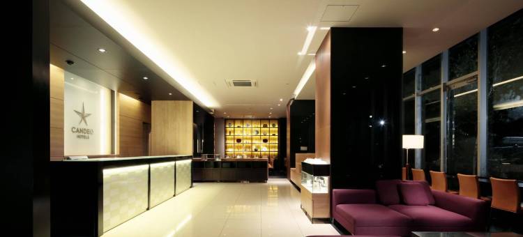 茅野光芒酒店(CANDEO HOTELS)(Candeo Hotels Chino)图片