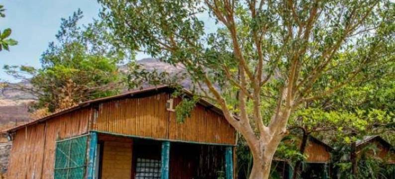 奎师那金环蛇 V 度假村(V Resorts Krishna Welang)图片