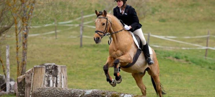 狄恩斯特尔古特酒店(Dienstl Gut)图片