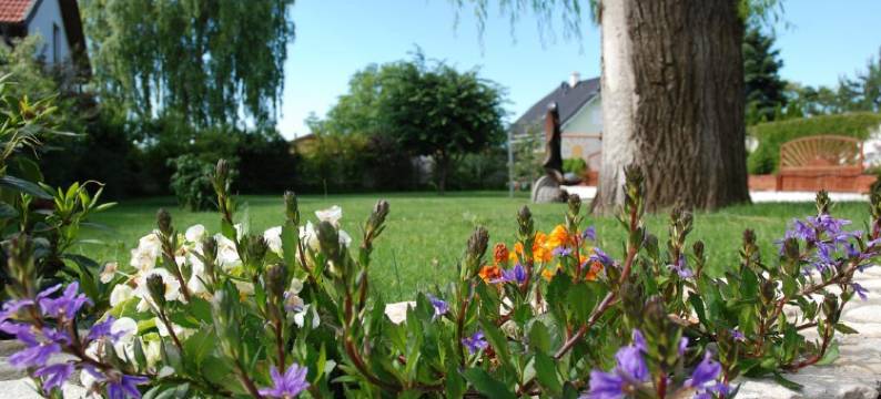 Pension Sonnenhof图片