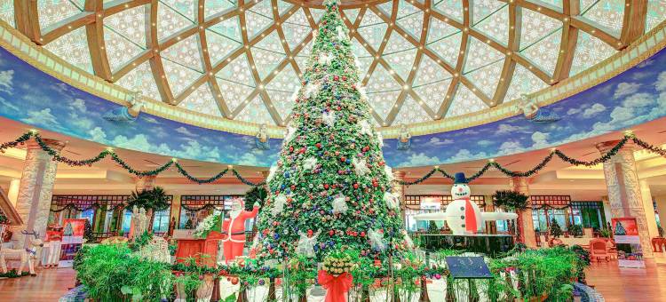 金边索卡酒店(Sokha Phnom Penh Hotel)图片