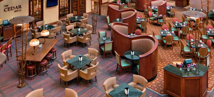 锡达拉皮兹万豪酒店(Radisson Hotel Cedar Rapids)图片