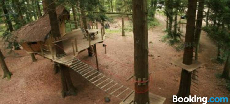 Insolites, les Ormes, Epiniac图片