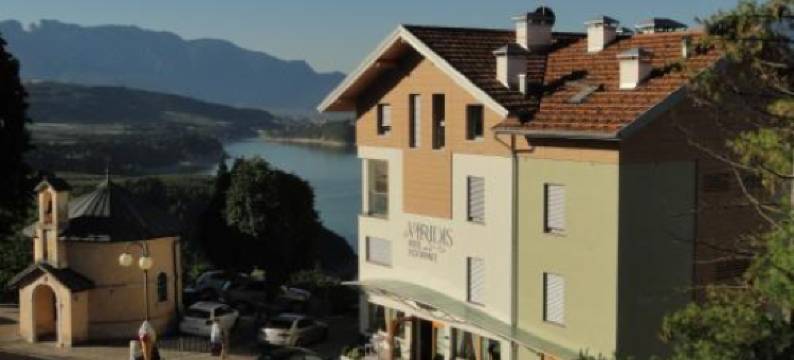 维里迪斯酒店(Viridis Hotel)图片