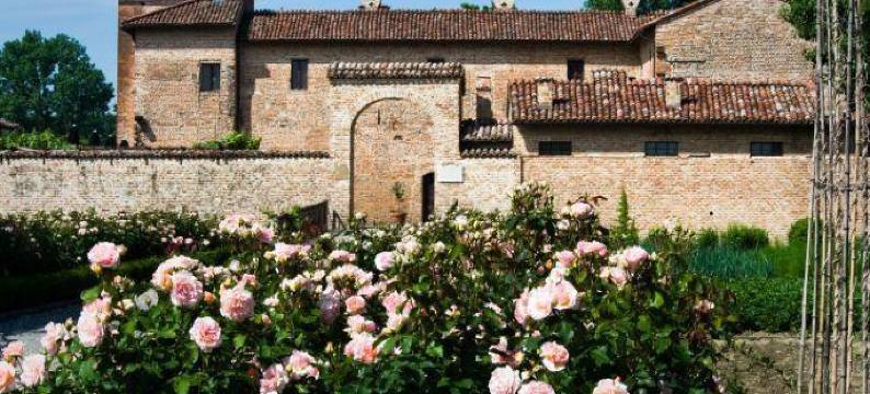 安提卡柯尔特帕拉西纳利来酒店(Antica Corte Pallavicina Relais)图片