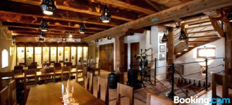 新迪沃里 RKC 酒店(Wellness Hotel & Minipivovar Kněžínek)图片