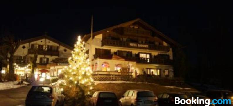 巴米斯假日酒店(Ferienhotel Barmsee)图片