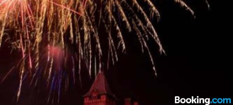 Gästehaus Schloss Saareck图片