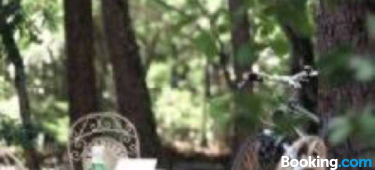 皮斯酒店(Logis Hôtel Restaurant des Pins)图片