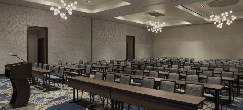 布法罗莱康港中心万豪酒店(Buffalo Marriott at Lecom Harborcenter)图片