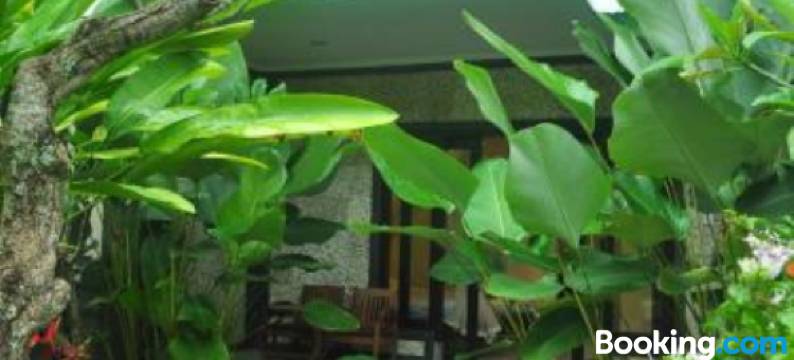 尤玛贝罗斯民宿(Umah Belos)图片