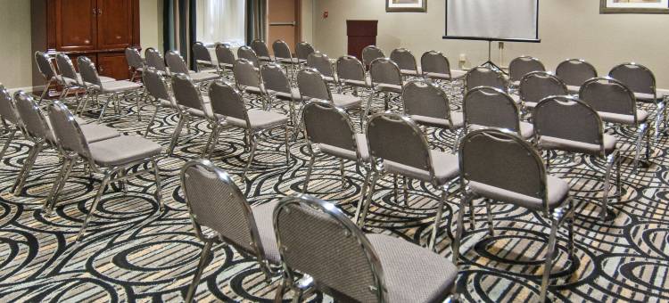 智选假日套房酒店查尔斯湖(Holiday Inn Express & Suites Lake Charles)图片