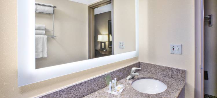 Holiday Inn 国家机场/水晶城(Holiday Inn National Airport/Crystal City)图片