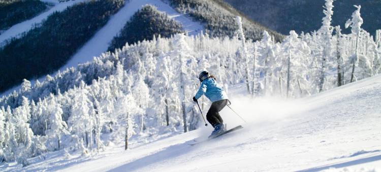 史密斯菲尔德贝斯特韦斯特优质酒店(Best Western Plus Plattsburgh)图片