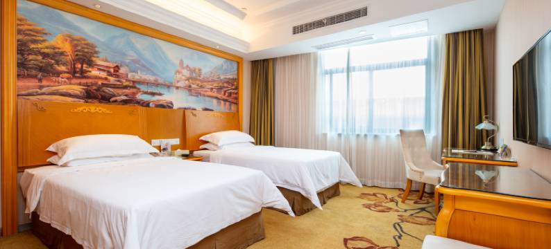 维也纳国际酒店(南京高淳地铁站店)图片