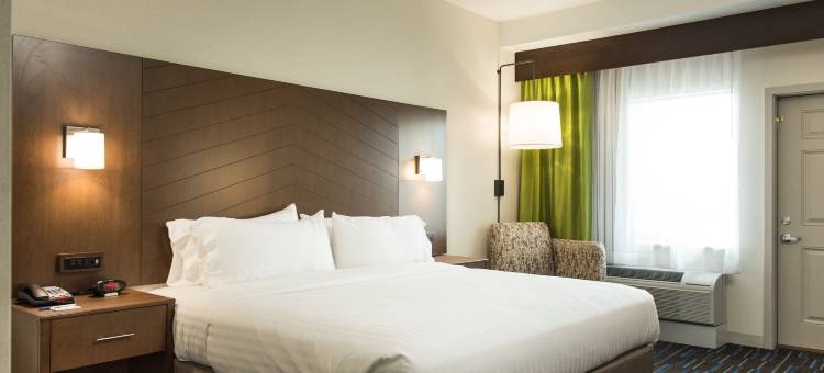 智选假日套房酒店-罗克福尔斯(Holiday Inn Express & Suites Rock Falls)图片