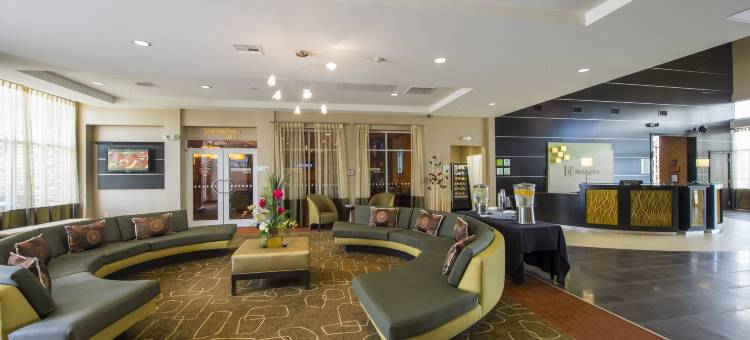 休斯顿西追希尔顿逸林酒店(DoubleTree by Hilton Houston Westchase)图片