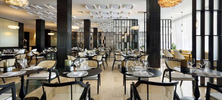 TRS尤卡坦酒店-限成人入住-全包(TRS Yucatan Hotel - Adults Only)图片