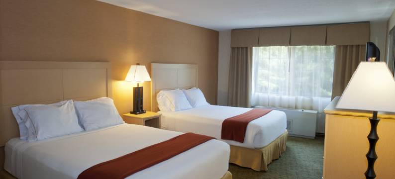 智选假日套房酒店北康威(Holiday Inn Express & Suites NORTH CONWAY by IHG)图片