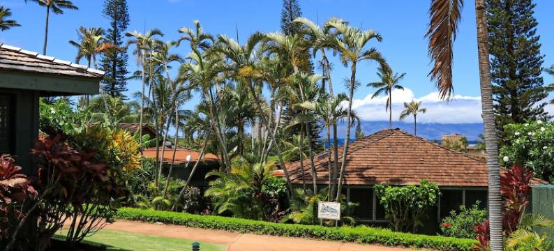 国际俱乐部 #18 酒店 - 2 居小屋(International Colony Club #18 - 2 Br Cottage)图片