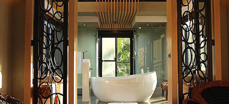 屏东白砂15图片