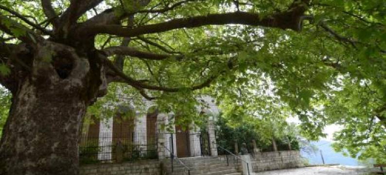 阿肯提克安凡提酒店(Hotel Archontiko Anyfanti)图片