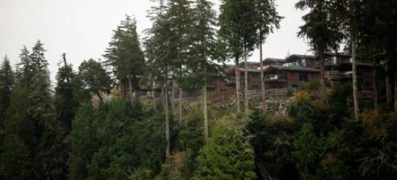 Fish Tales Cottage图片