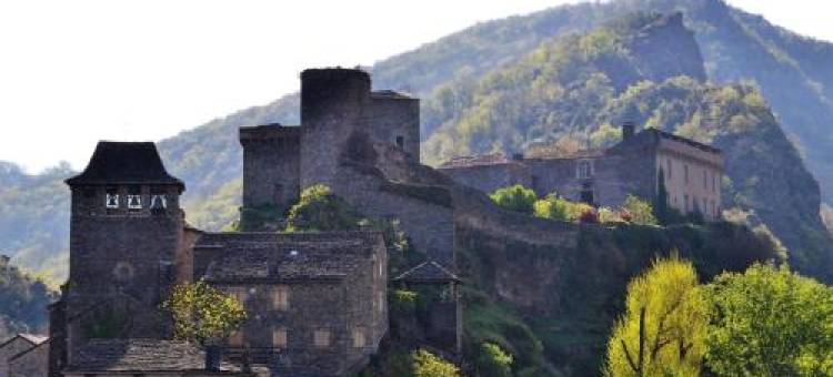 La Colline du Chat Perche图片