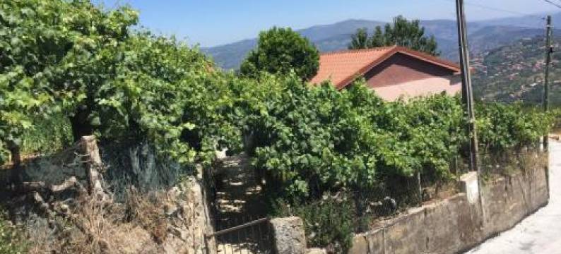 Alojamento da Ribeirinha图片