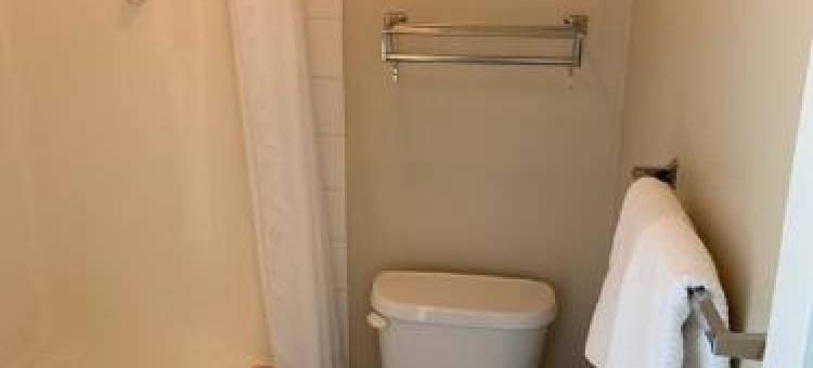 红鹿酒店及套房(Red Deer Inn & Suites)图片