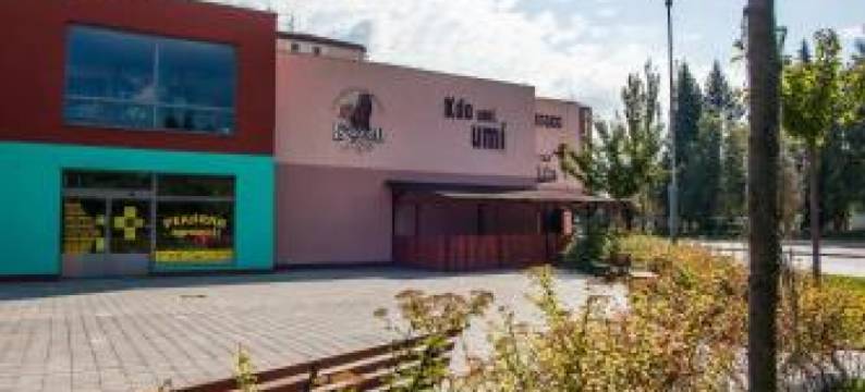 阿尔法酒店(Hotel Alfa)图片