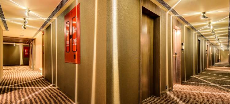 维维德斯酒店(Vividus Hotel)图片