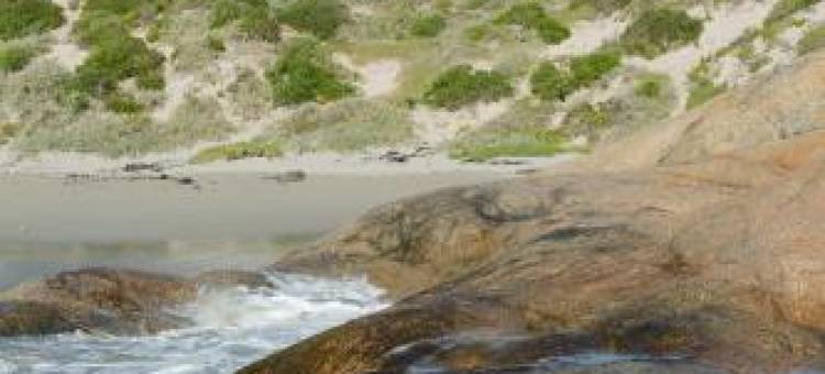 蛎纽黑文帕特诺斯特旅馆(The Oystercatchers Haven at Paternoster)图片