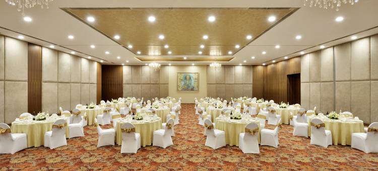 海得拉巴班加拉山丽笙世嘉酒店(Radisson Blu Plaza Hotel Hyderabad Banjara Hills)图片